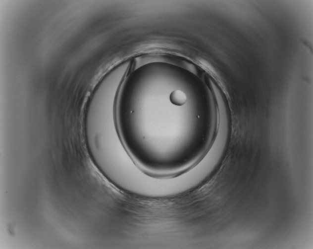 X0000099461384200805231756