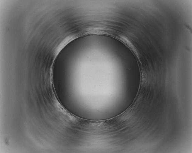 X0000099461386200805231756