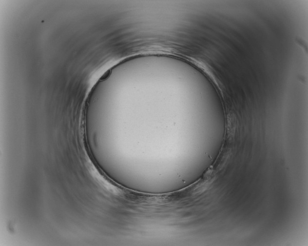 X0000099461387200805231756