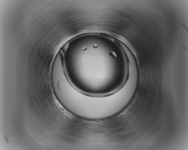 X0000099461388200805231756