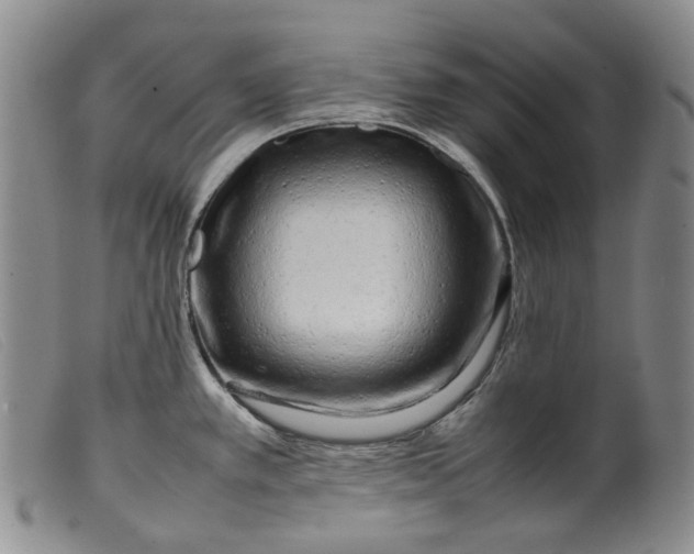 X0000099461389200805231756