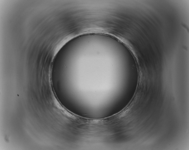 X0000099461390200805231756