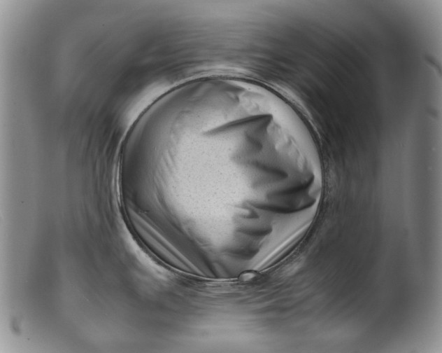 X0000099461391200805231756