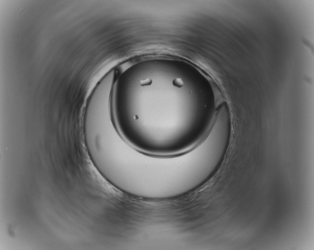 X0000099461392200805231756