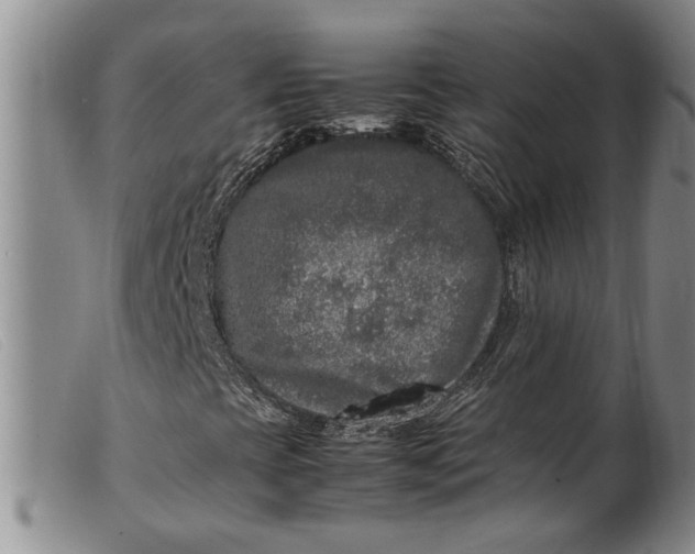 X0000099461393200805231755