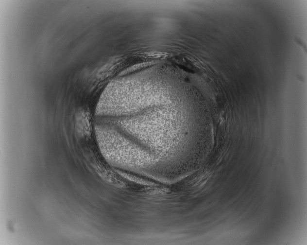 X0000099461394200805231755