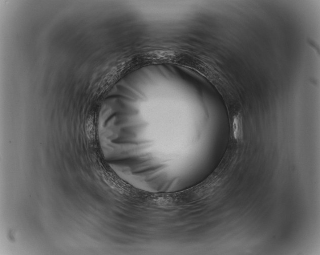 X0000099461395200805231755