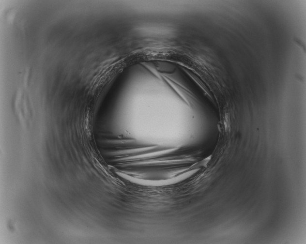 X0000099461396200805231755