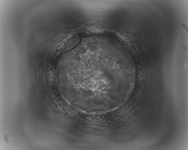 X0000099461397200805231755