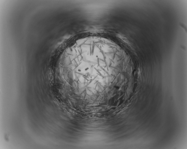 X0000099461398200805231755