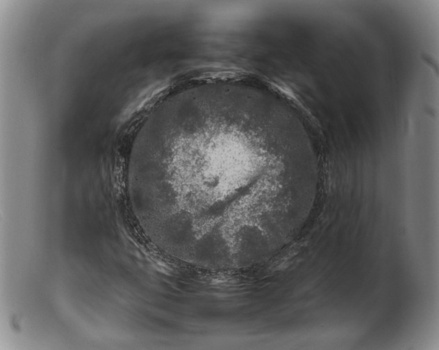 X0000099461399200805231755