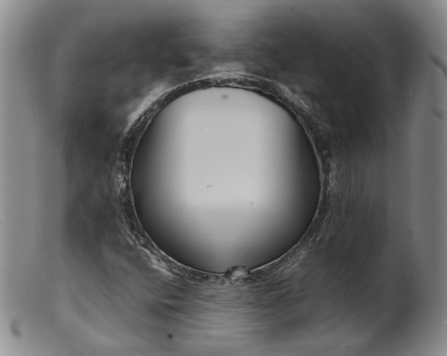 X0000099461400200805231755