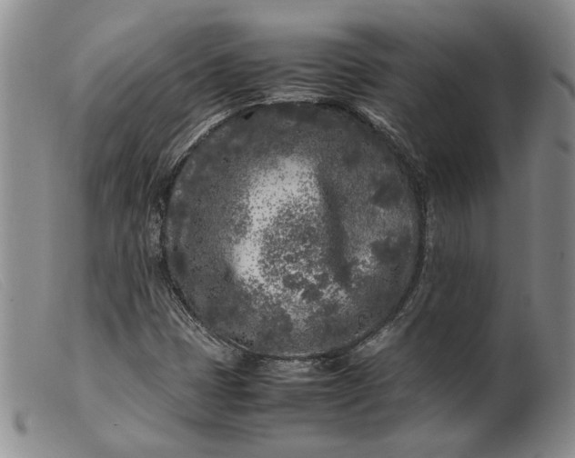 X0000099461401200805231755