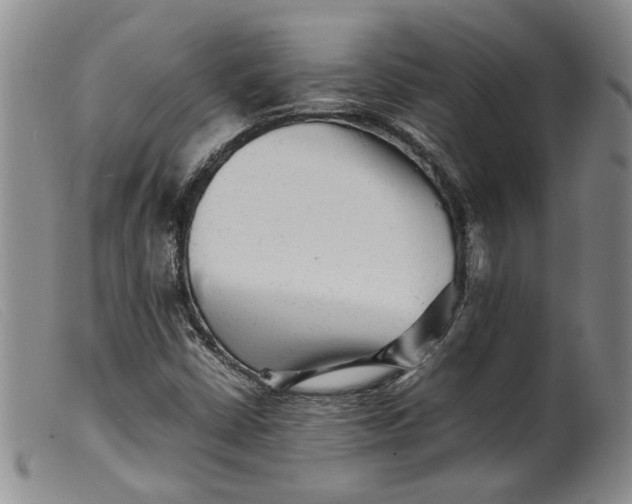 X0000099461402200805231755