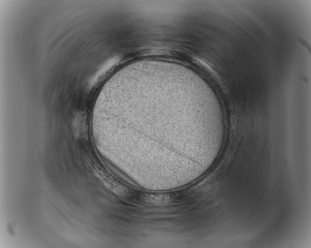 X0000099461403200805231755