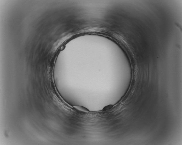 X0000099461404200805231755