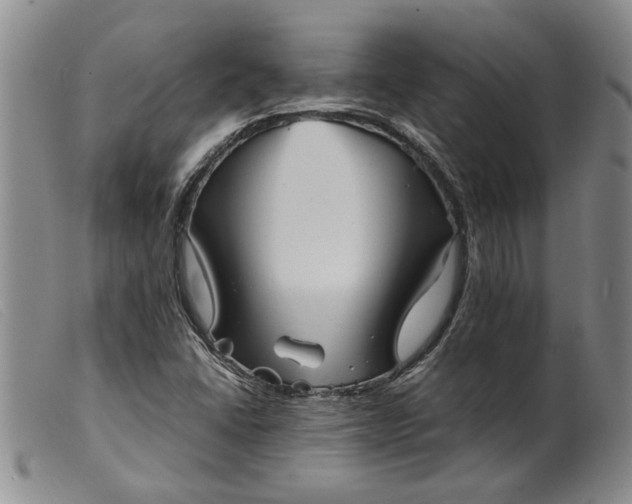 X0000099461406200805231755