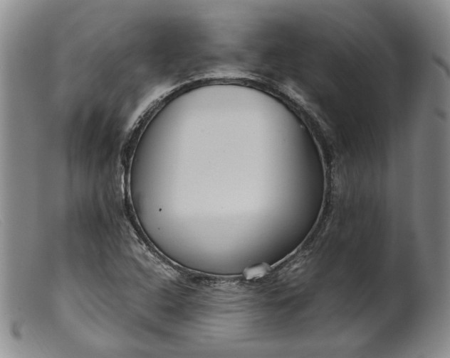 X0000099461408200805231755