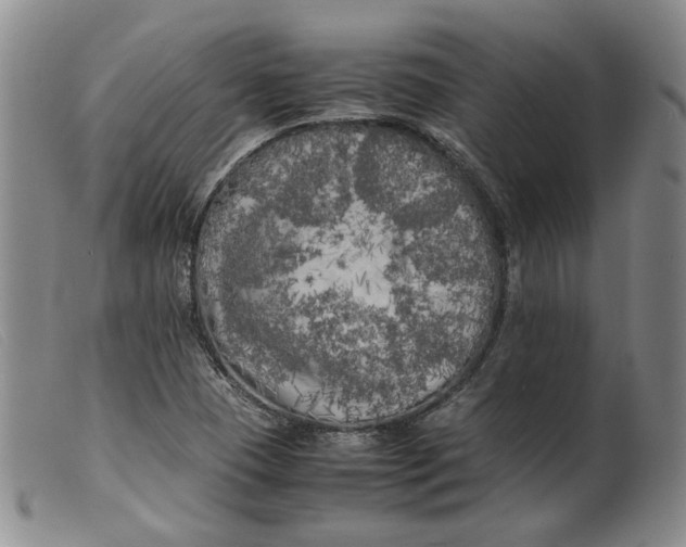 X0000099461409200805231755