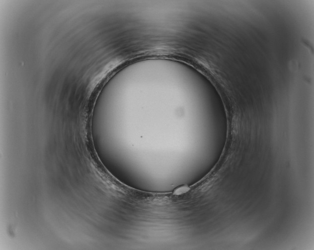 X0000099461410200805231755