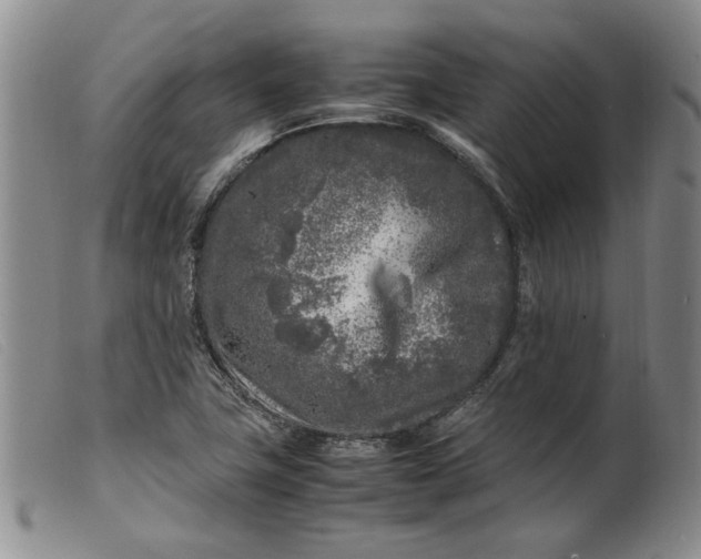 X0000099461411200805231755