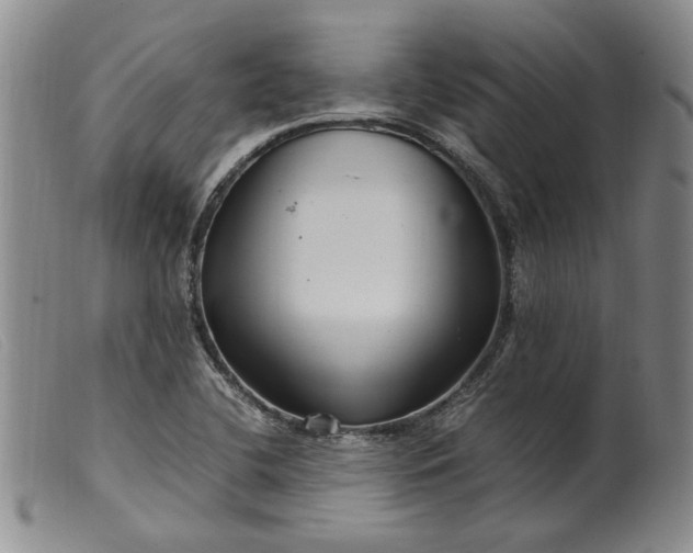 X0000099461412200805231755