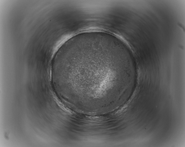 X0000099461413200805231755