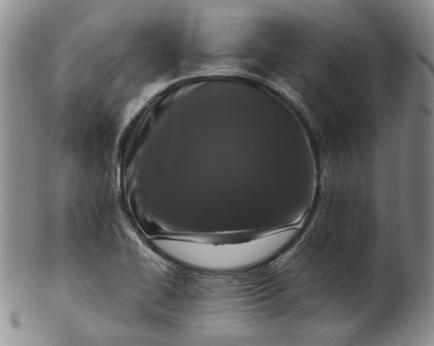 X0000099461414200805231755