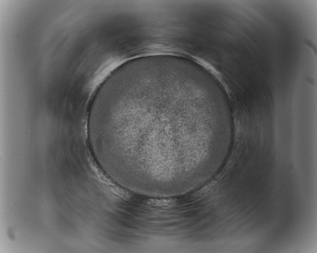 X0000099461415200805231755