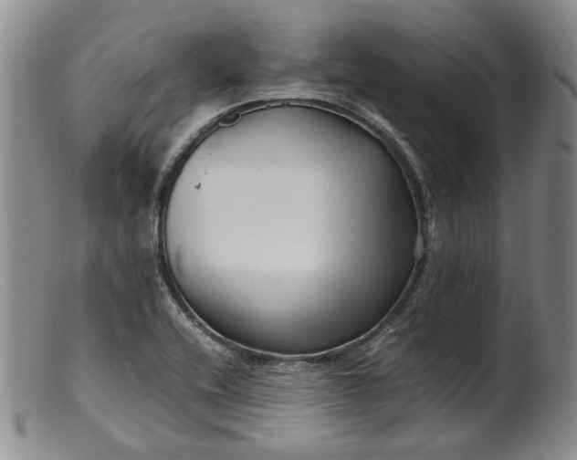 X0000099461416200805231755