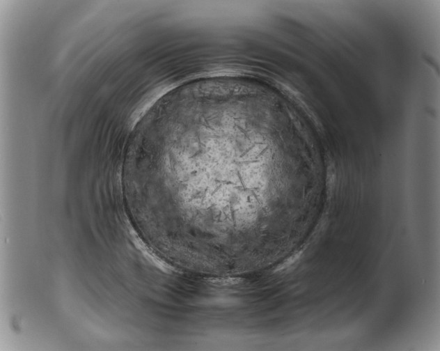 X0000099461417200805231755