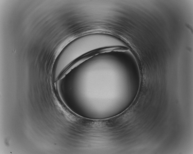 X0000099461418200805231755