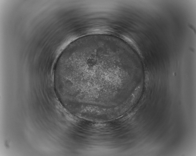 X0000099461419200805231755