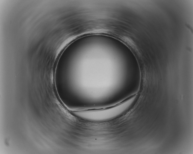 X0000099461420200805231755