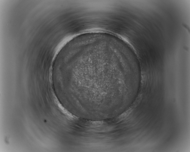 X0000099461421200805231755