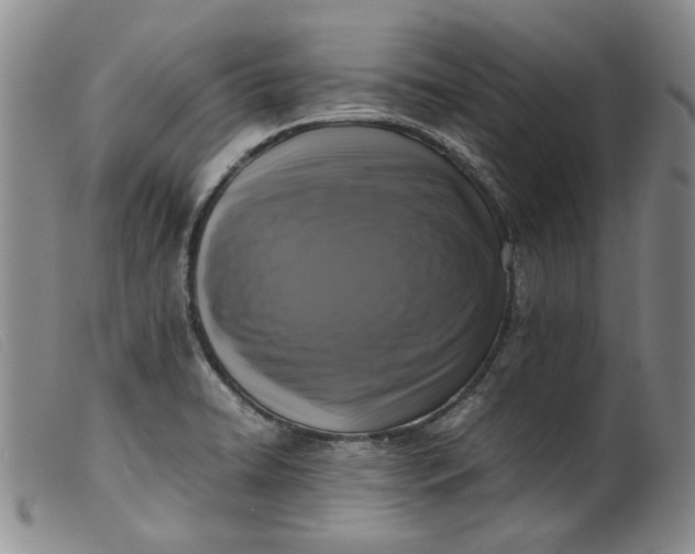 X0000099461422200805231755