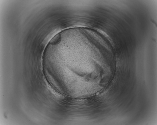 X0000099461423200805231755