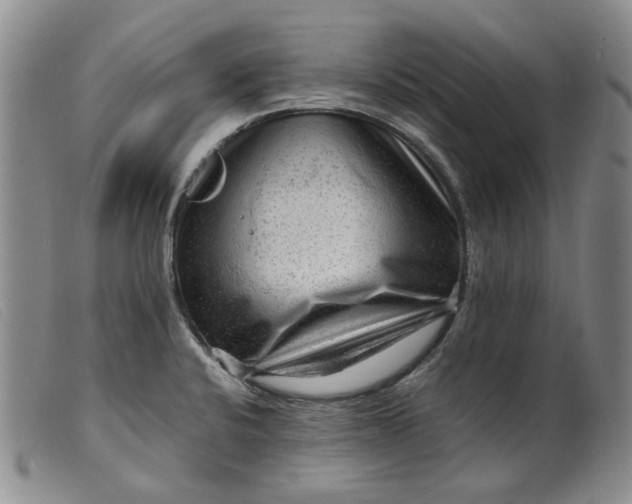 X0000099461424200805231755