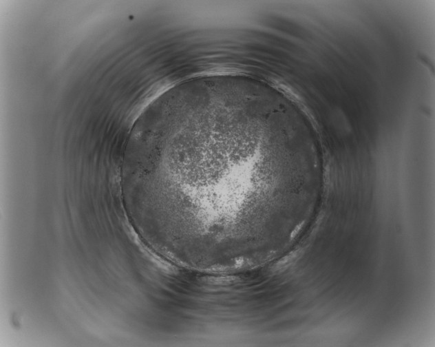 X0000099461425200805231755