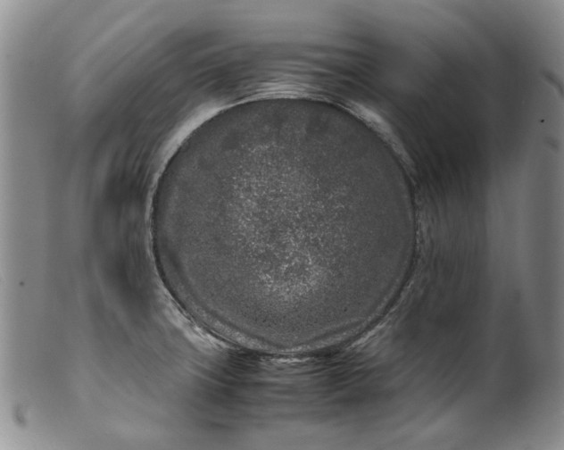 X0000099461427200805231755