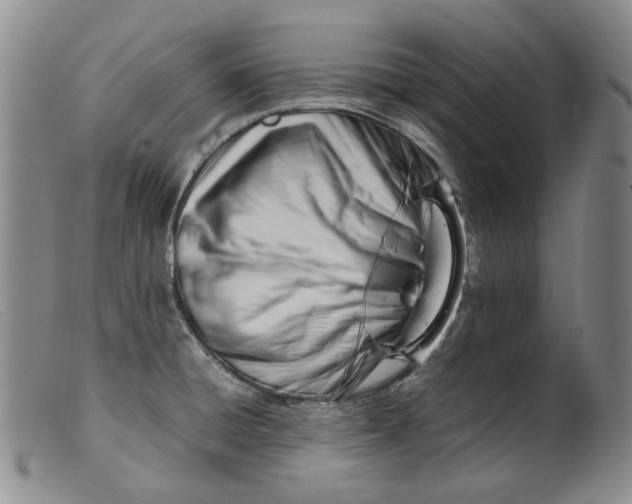 X0000099461428200805231755