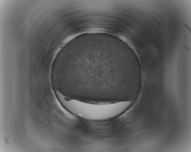 X0000099461429200805231755