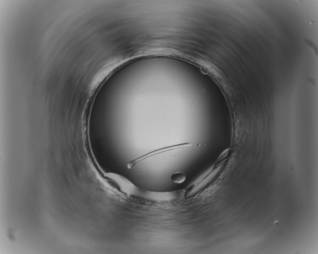 X0000099461430200805231755