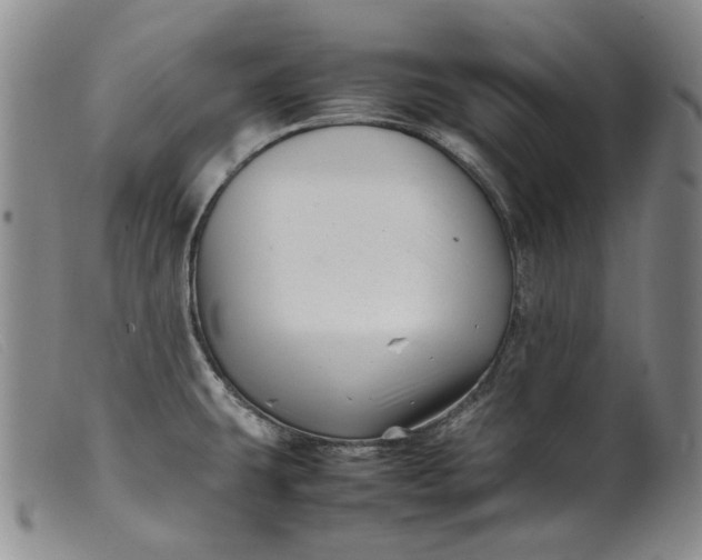 X0000099461431200805231755