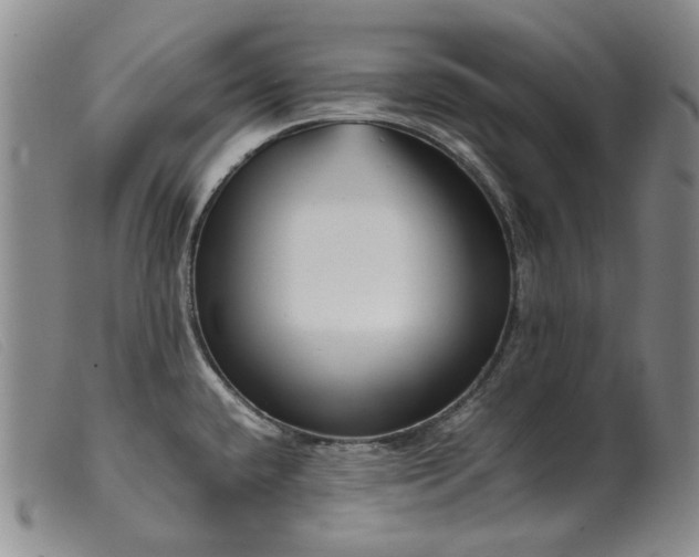 X0000099461432200805231755