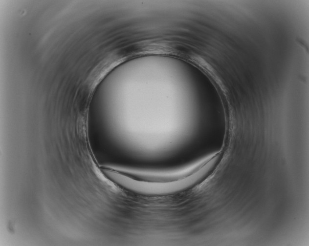 X0000099461433200805231755