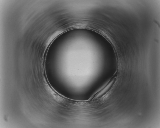 X0000099461434200805231755