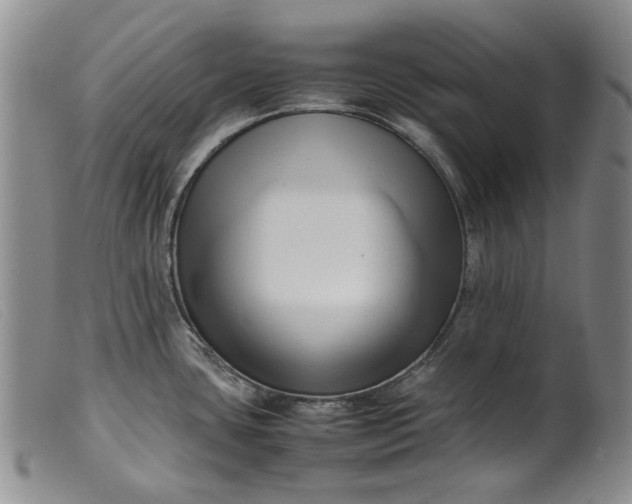 X0000099461435200805231755