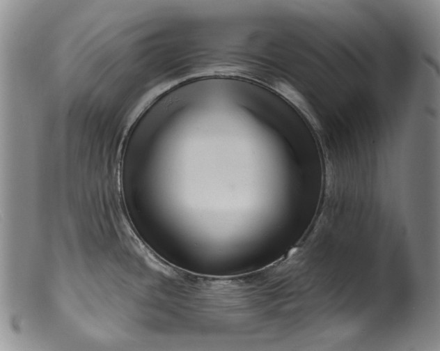 X0000099461436200805231755