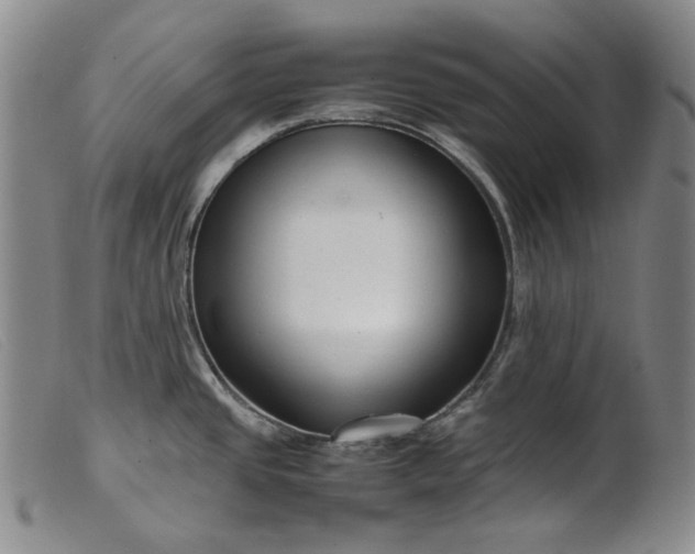 X0000099461437200805231756